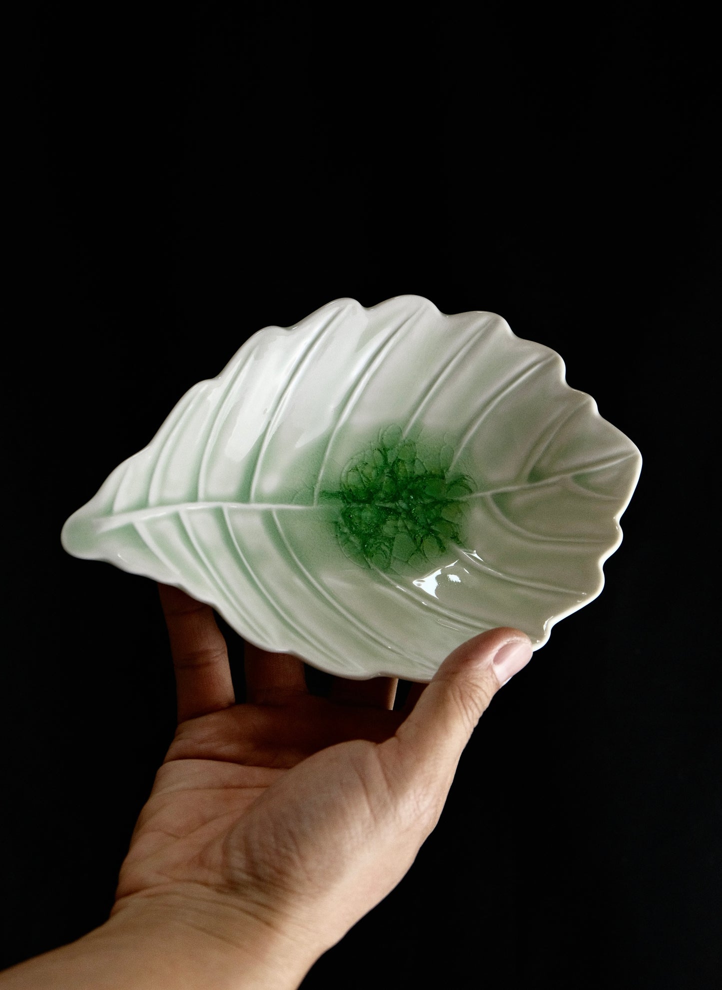 Hasami Ware (洸琳窯) Handmade The Green Glaze Series