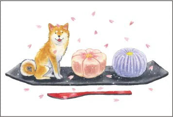 Japan Made Assorted Postcard Shiba Inu