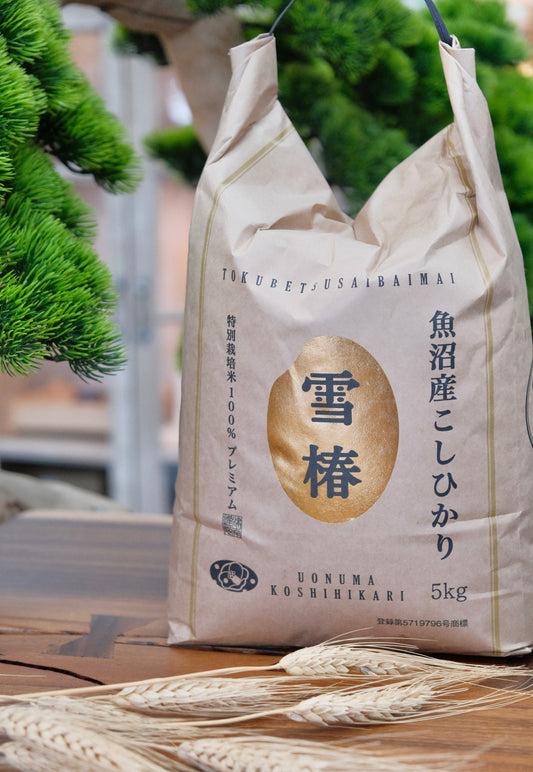 Uonuma Koshihikari Yuki Tsubaki Rice (Polished Short Grain Rice)11lbs/(5Kg)雪椿米