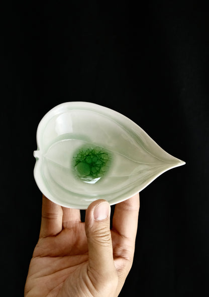 Hasami Ware (洸琳窯) Handmade The Green Glaze Series