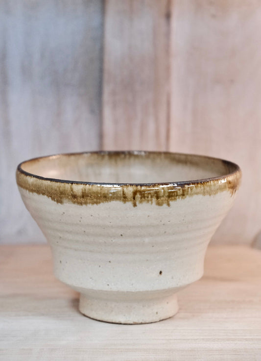 Shigaraki Yaki Ceramic wave large Donburi bowl