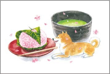 Japan Made Assorted Postcard Shiba Inu