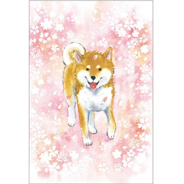 Japan Made Assorted Postcard Shiba Inu