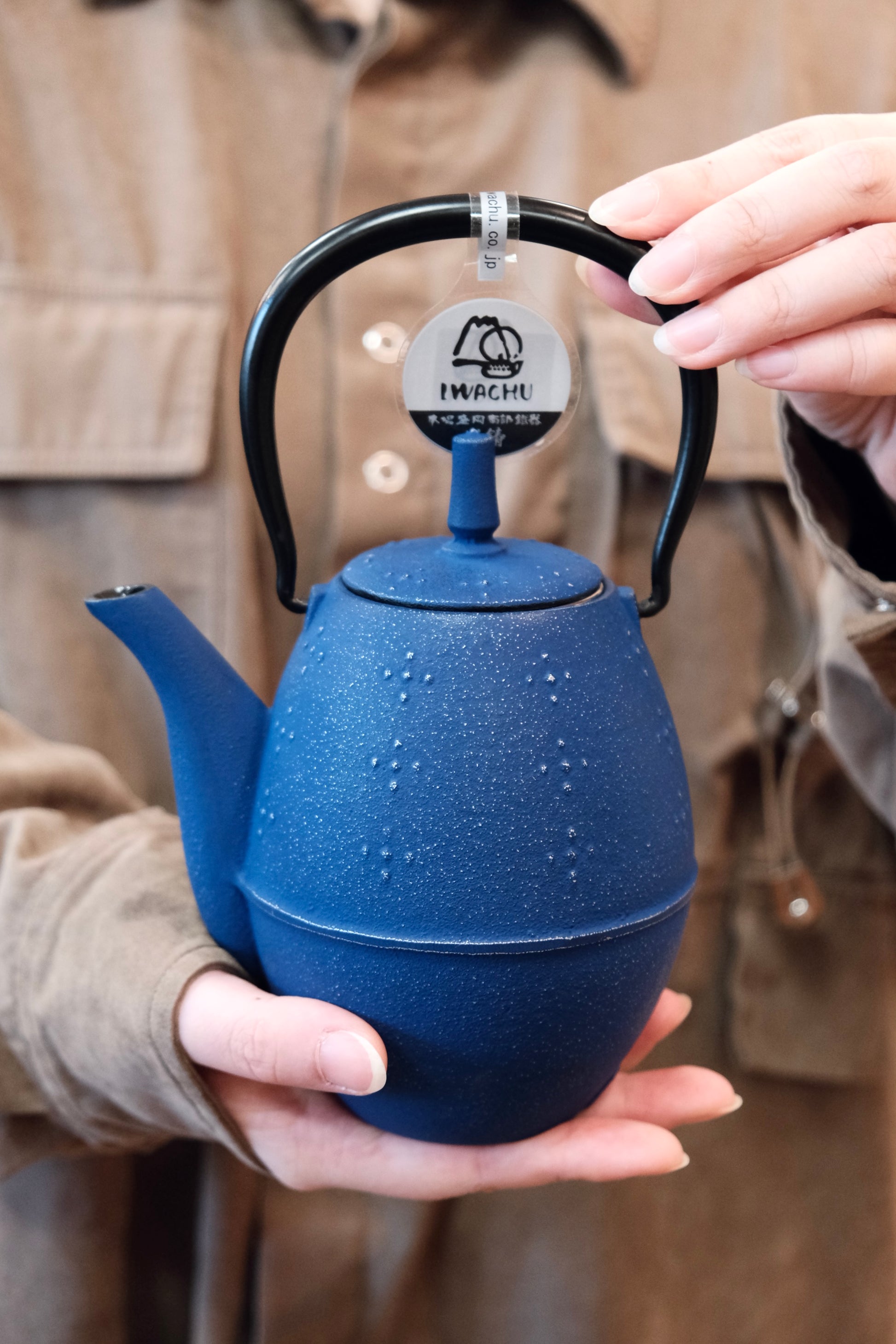 Iwachu Turquoise Matte Tetsubin Hikifune Teapot 24 oz