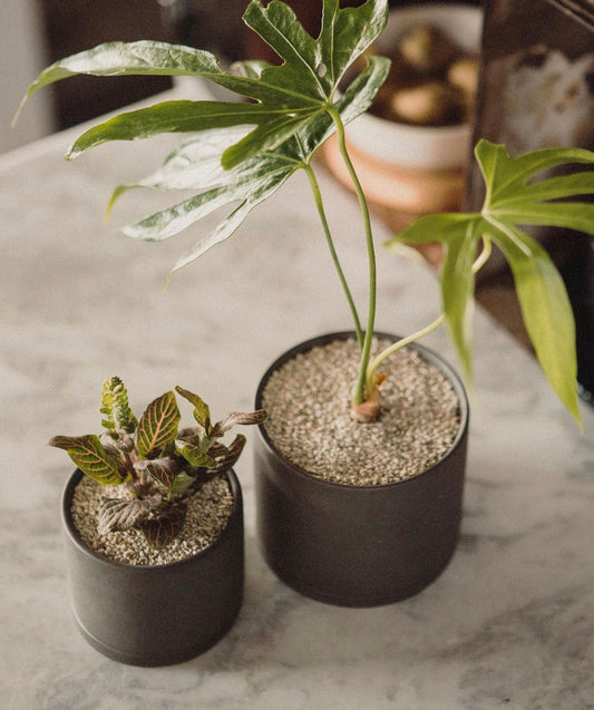 KINTO Plant Pot 191(Dark Gray)