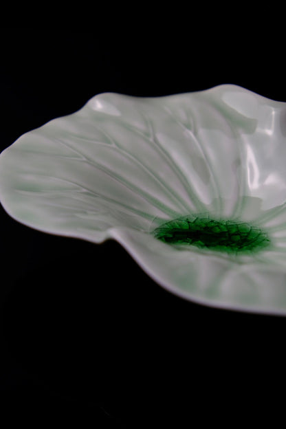 Hasami Ware (洸琳窯) Handmade The Green Glaze Series