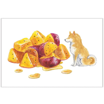 Japan Made Assorted Postcard Shiba Inu